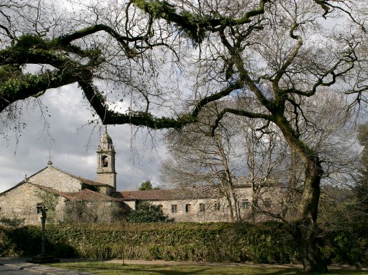 Carballeira de San Lourenzo