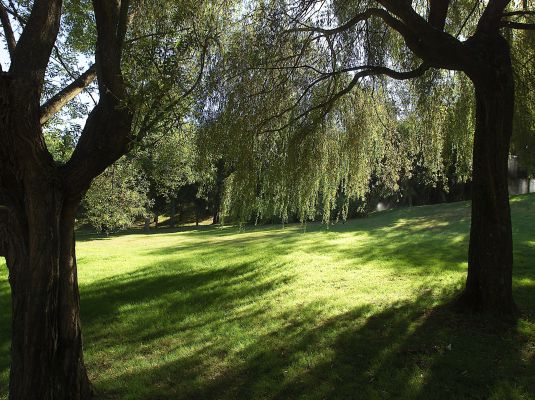 Parques Fermín Bouza Brey y Alexandre Bóveda