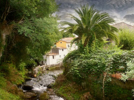Paseo fluvial del río Sarela