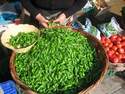 Padrón green peppers