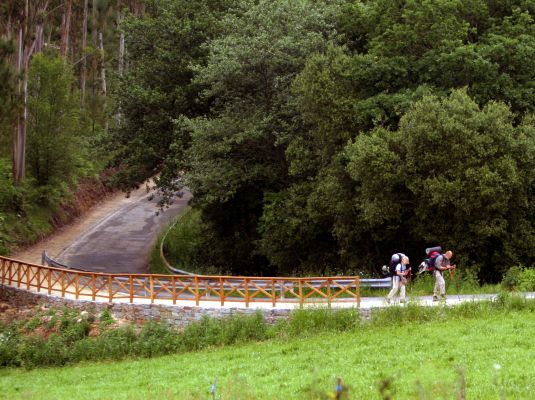 El Camino de Santiago