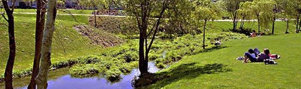 El Proyecto Compostela Plató 2005 premia un guión catalán