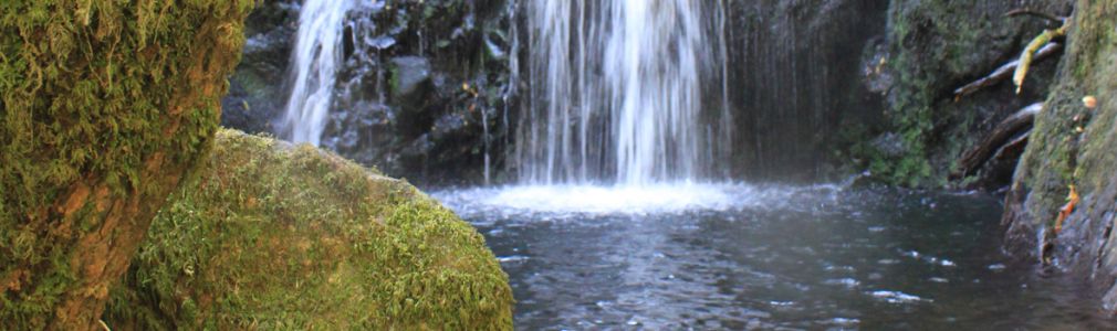 Sendero de la Fervenza de Férveda 9