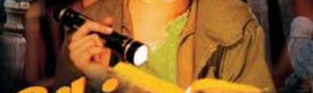 Bibi, la pequeña bruja y el secreto de los búhos azules