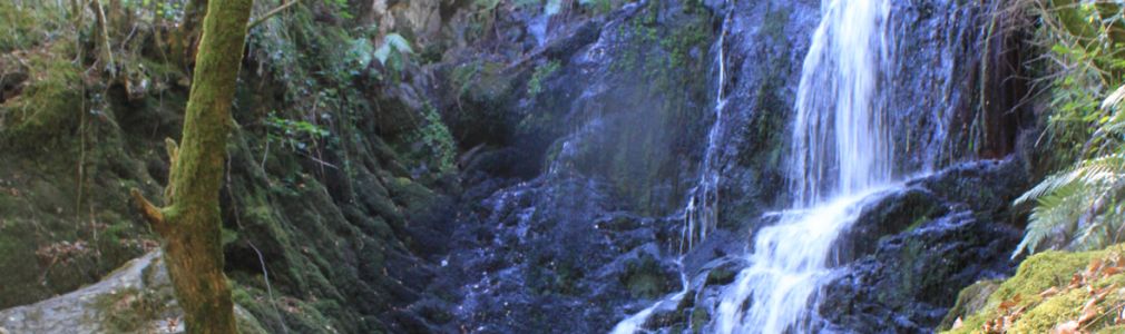 Sendero de la Fervenza de Férveda 10