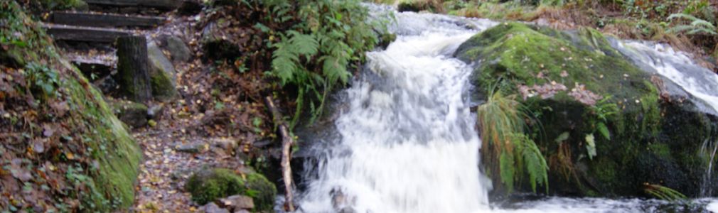 Sendero de la Fervenza de Férveda 11