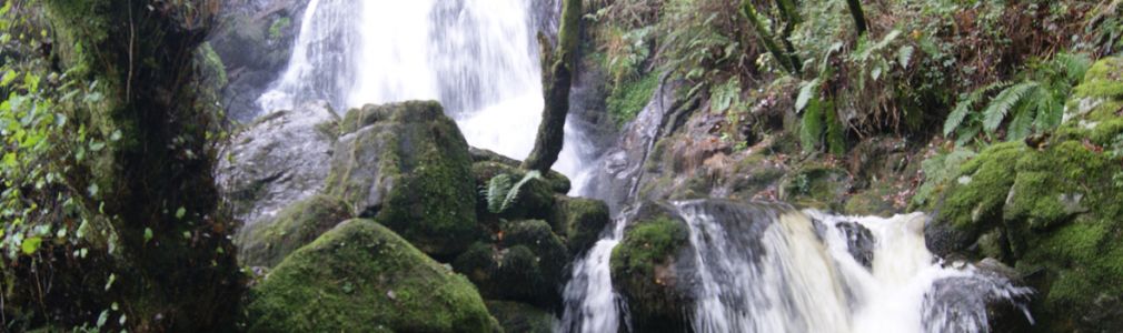 Sendero de la Fervenza de Férveda 12