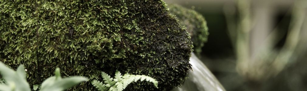 Hotel Virxe da Cerca