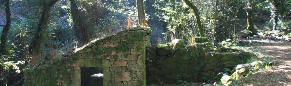 Sendero de la Fervenza de Férveda 7