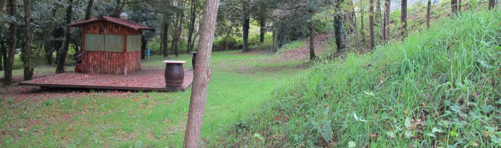 Área recreativa de Remesquide 5