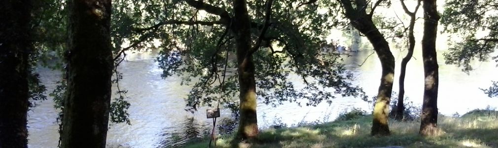 Área recreativa de Foxás-Souto 4