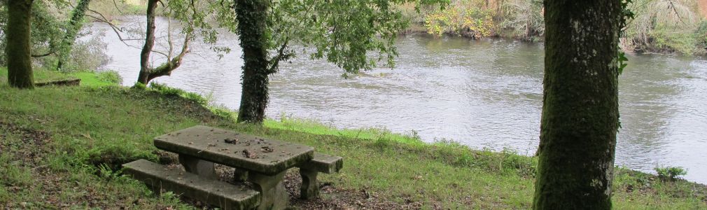 Área recreativa de Foxás-Souto 2