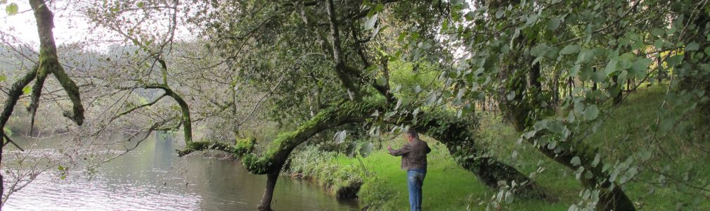 Área recreativa de Foxás-Souto 5