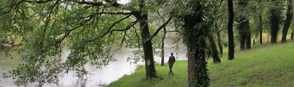 Área recreativa de Foxás-Souto 3