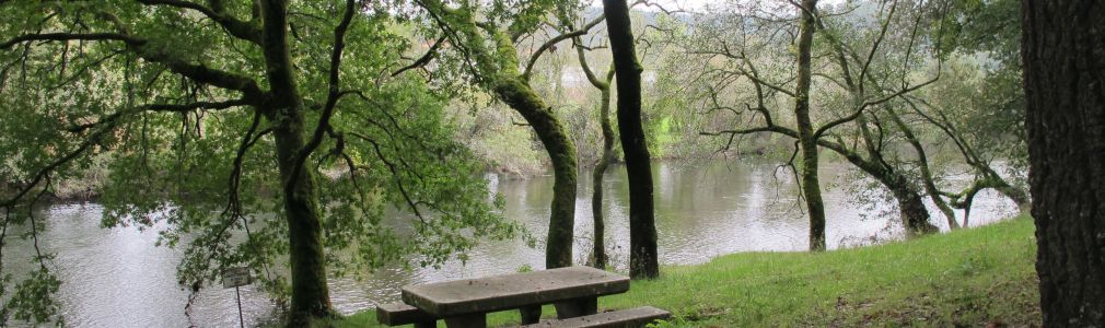 Área recreativa de Foxás-Souto 7