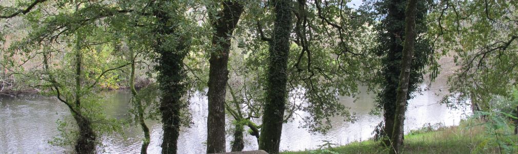 Área recreativa de Foxás-Souto 6