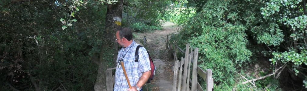 San Xoán da Cova (PRG-36) 2