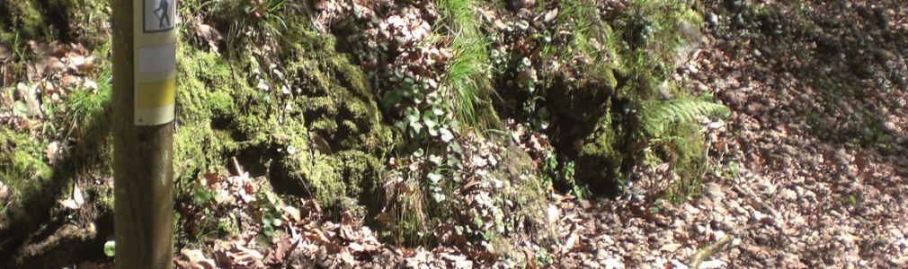 San Xoán da Cova (PRG-36) 3