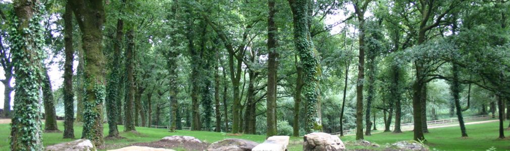 Área recreativa de As Pedrosas 3