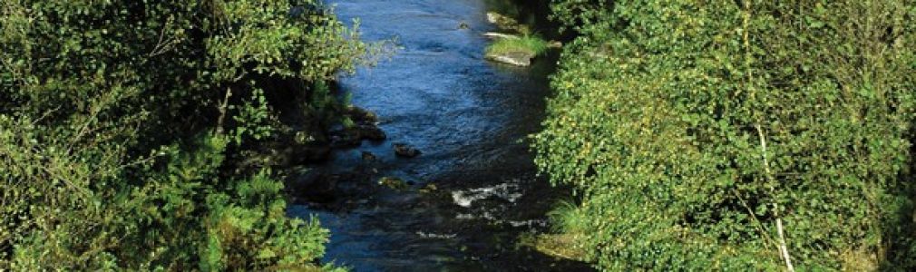 Zona libre de pesca del río Arnego