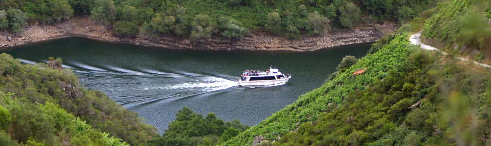 Excursiones organizadas