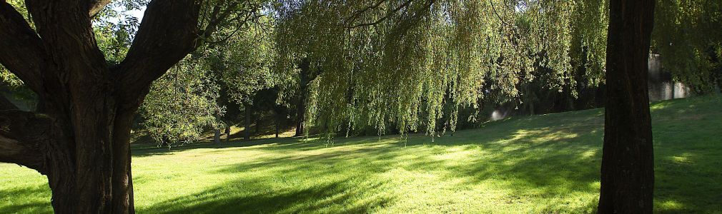 Parques Fermín Bouza Brey y Alexandre Bóveda