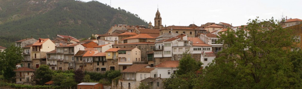 Ourense y O Ribeiro: Villas Medievales entre viñedos