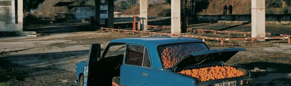 Letters to Max (Cartas para Max)