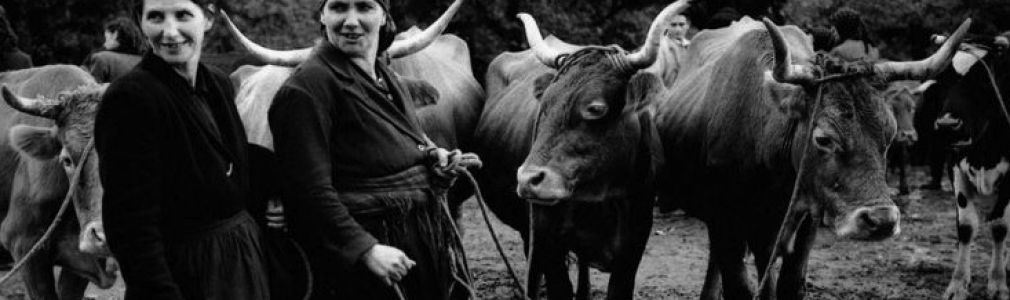 Compostela Femme: la otra historia que no te contaron