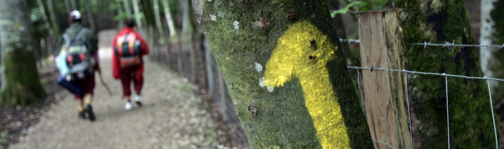 Turismo de Santiago colabora con el primer “Camino de Santiago Film Festival” que se celebrará en Boston