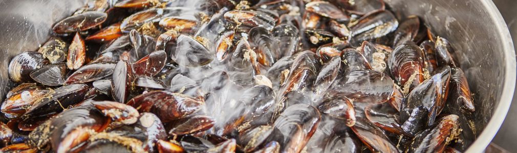 Rías Baixas con paseo en catamarán
