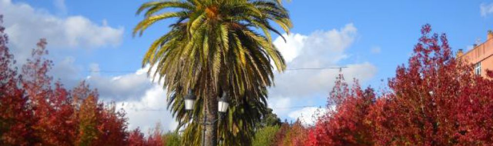 Excursión a NOIA - Portus Apostoli