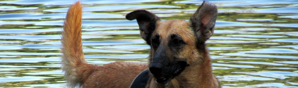 Arenal (A Pobra do Caramiñal)