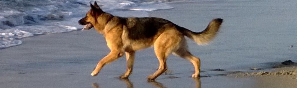 Foz y  Calzoa (Vigo) 