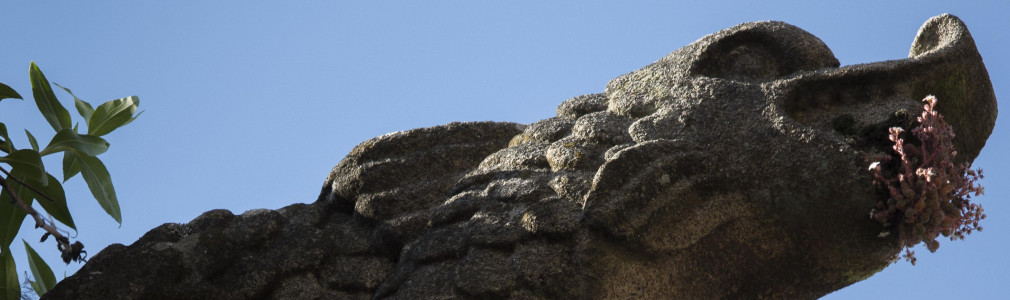 Gárgolas de Compostela