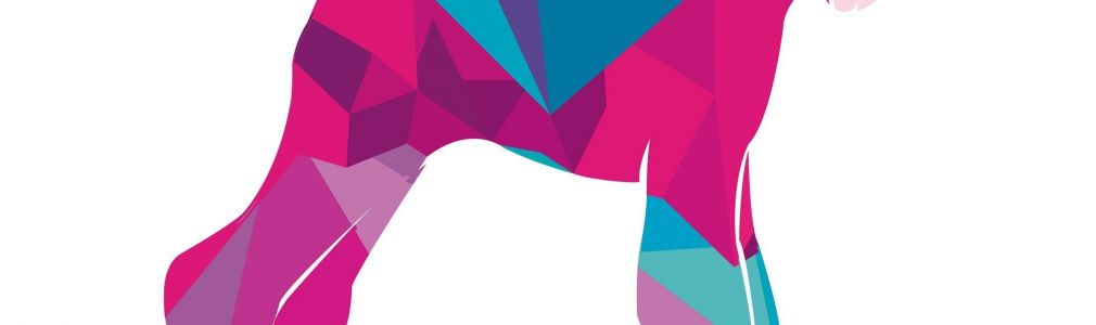 Peluquería Canina Andrés Martínez