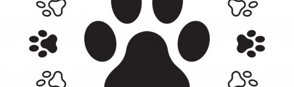 Clínica Veterinaria MG Vet 