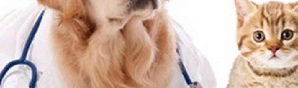 Clínica Veterinaria La Rosa 