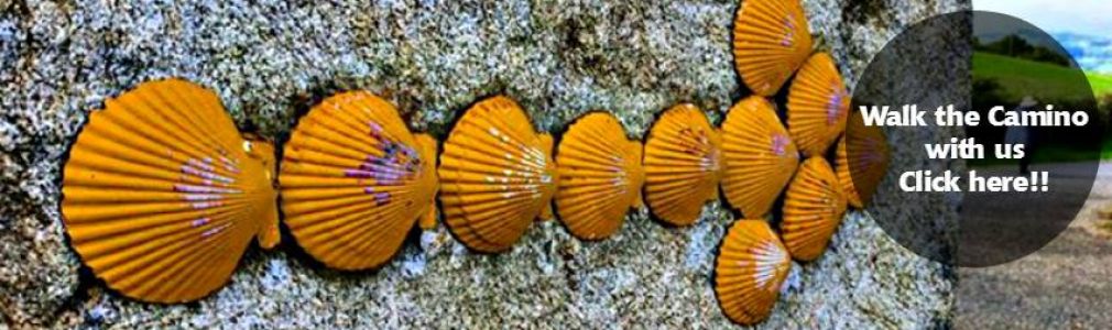 Camino Travel Center