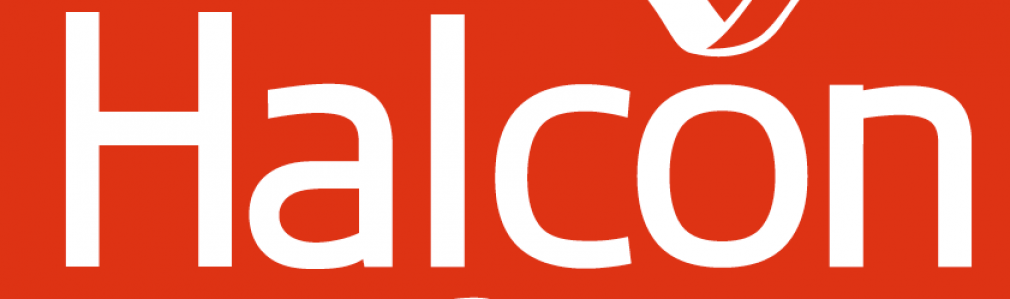 Halcón - Carreira do Conde