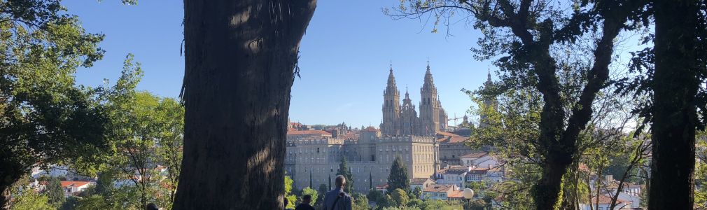 Visita guiada á Catedral de Santiago