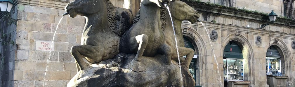 Visita guiada á Catedral de Santiago