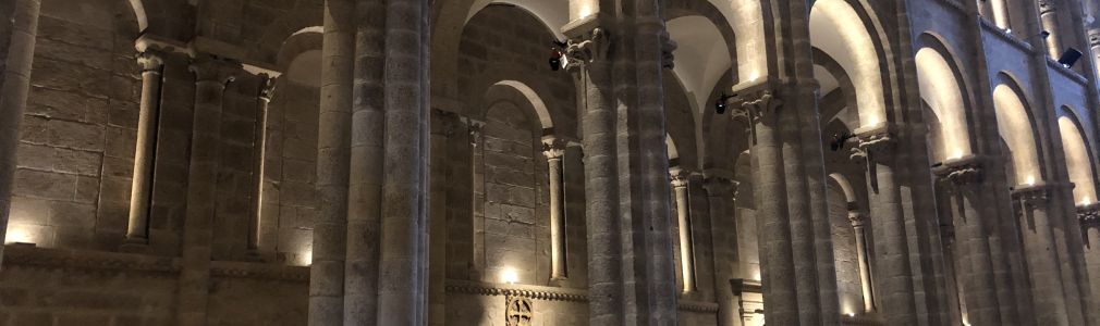 Visita guiada á Catedral de Santiago