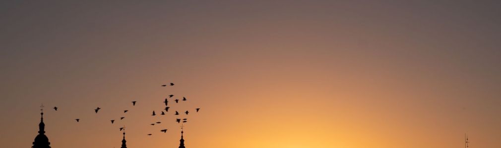 Visita guiada á Catedral de Santiago