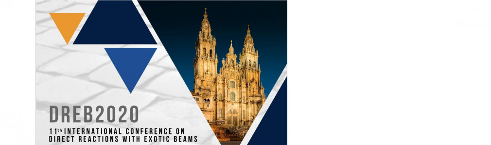 11th international conference on Direct Reactions with Exotic Beams (DREB2020)