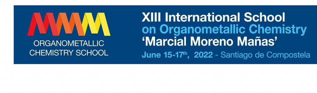 XIII International School of organometallic Chemistry