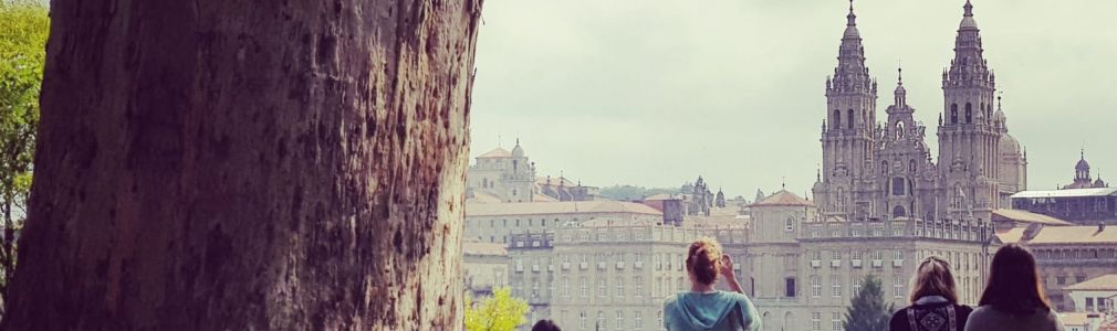 Freetour  polo Casco Histórico de Santiago D.C.