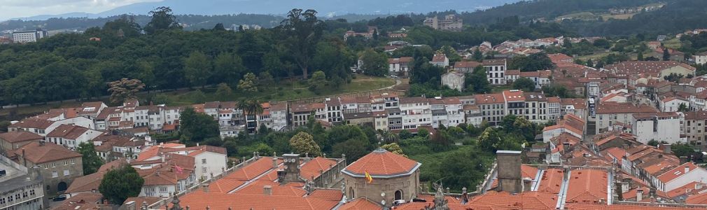 Visita Guiada Catedral de Santiago y Museo +Tejados+Torre