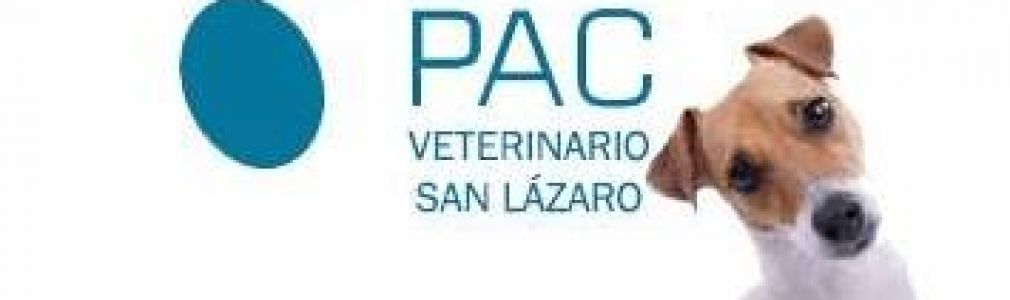PAC Veterinario San Lázaro
