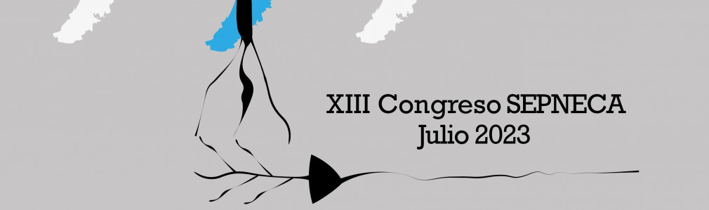 XIII Congreso de la Sociedad Española de Psicofisiología y Neurociencia Cognitiva y Afectiva (SEPNECA)